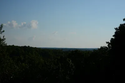 DSC_2800 (Large).JPG